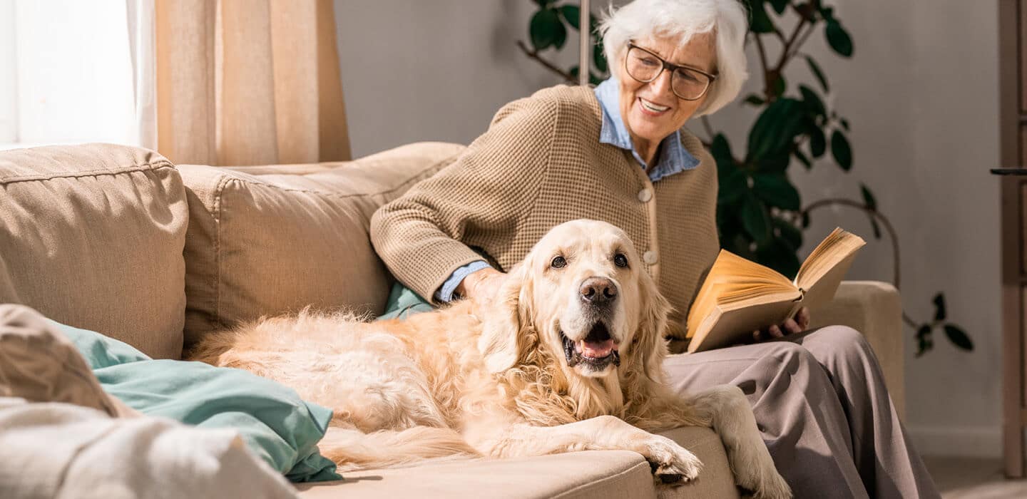 elderly woman taking a break from reading to pet her dog
