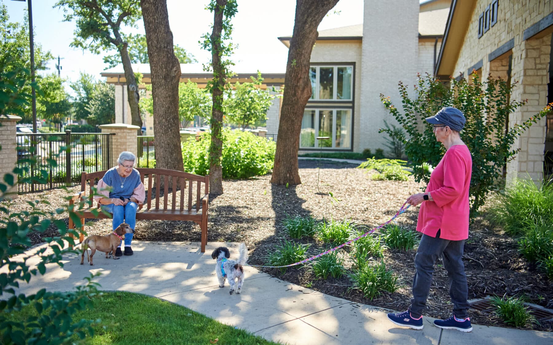 residents outside walking their dogs