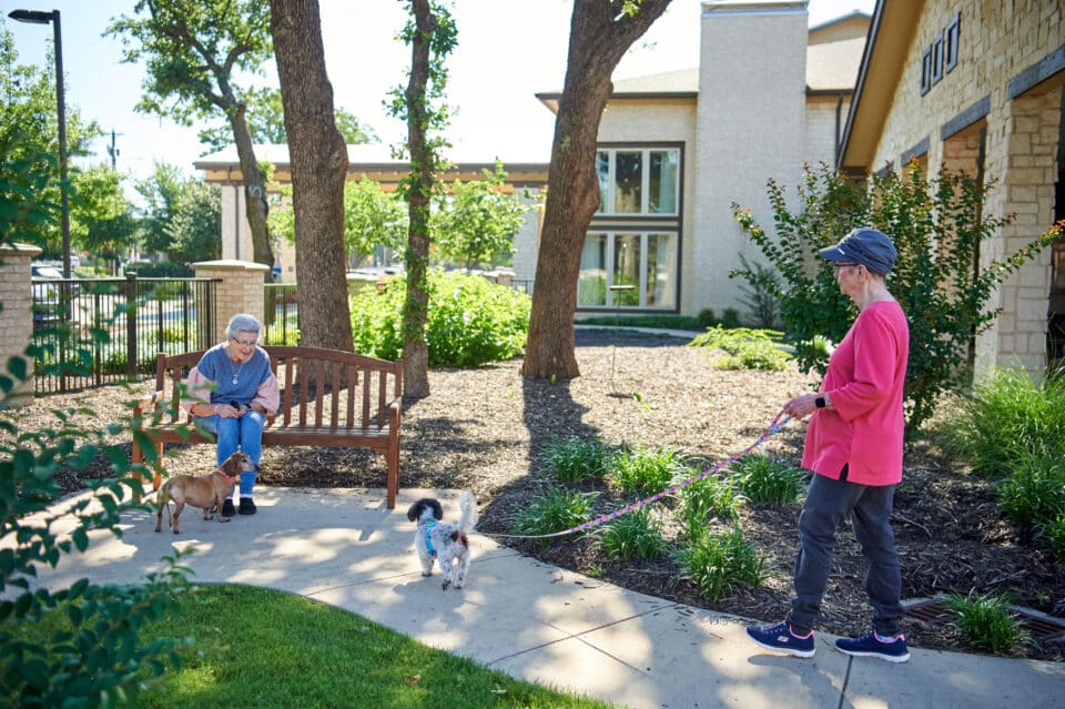 residents outside walking their dogs